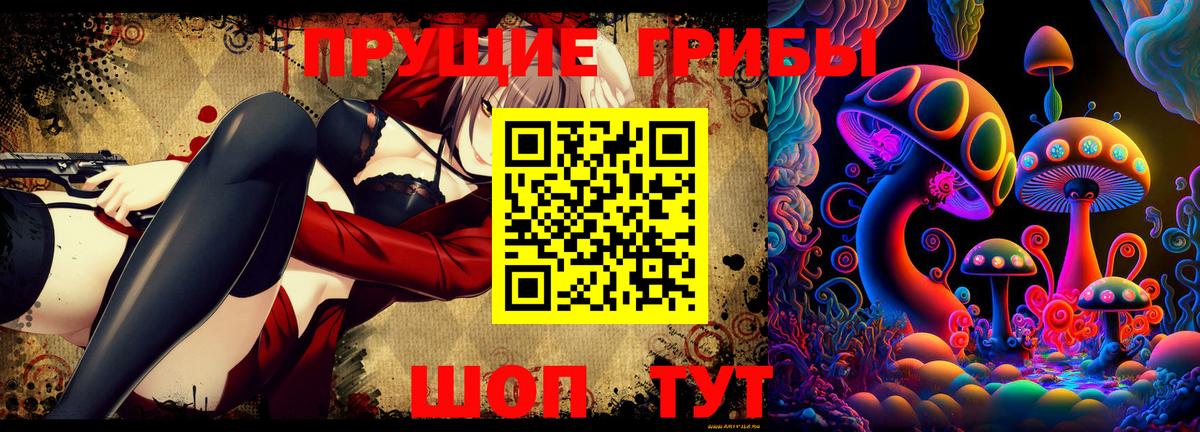 Псилоцибиновые грибы Psilocybine cubensis  Вход с VPN  Озёры 