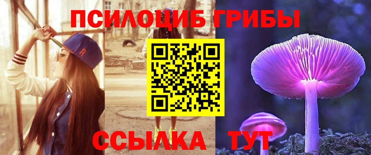 Псилоцибиновые грибы мицелий Озёры