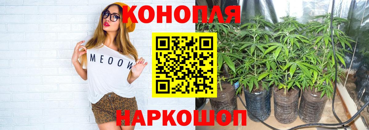 Шишки марихуана план  Вход с VPN  Шишки марихуана Bruce Banner  Озёры  Бошки марихуана конопля 